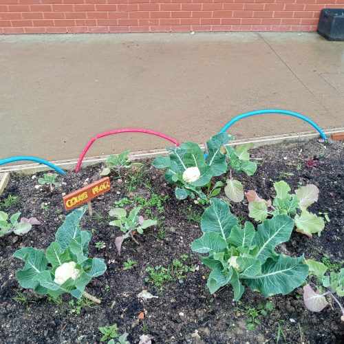 HORTA PHOTO-2026-03-17-11-57-25 2.jpgPHOTO-2026-03-24-12-30-16