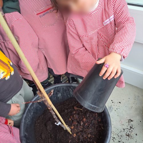 HORTA PHOTO-2026-03-17-11-57-25 2.jpgPHOTO-2026-03-24-13-18-48