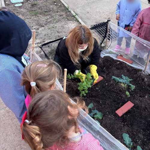 PHOTO-2025-12-01-15-31-45 3