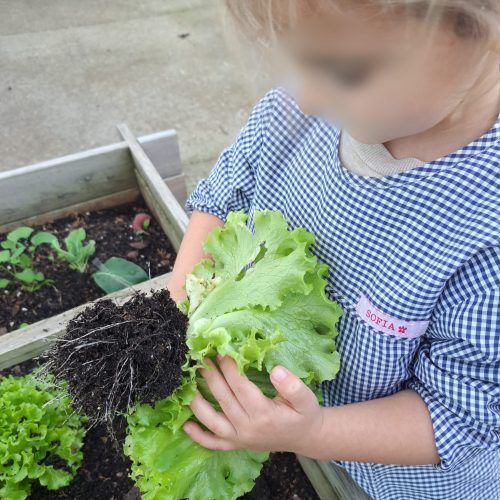 PHOTO-2025-12-01-15-37-44