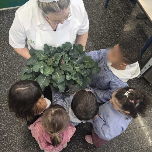 PHOTO-2026-01-22-13-55-20