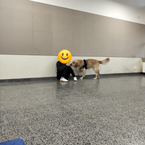 PHOTO-2026-01-23-13-18-55 2