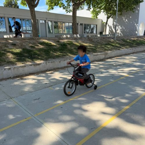WhatsApsp Image 2026-04-16 at 17.12.30